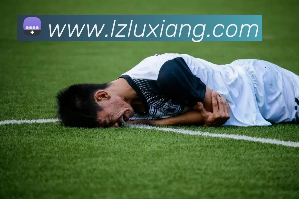 乐鱼品牌故事